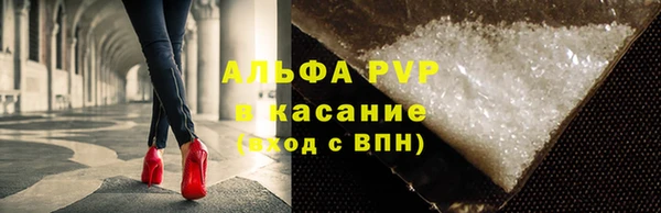 стаф Вяземский