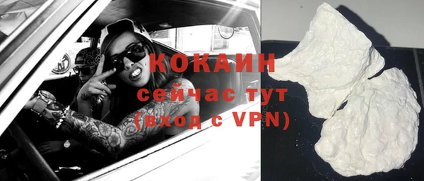 стаф Вяземский