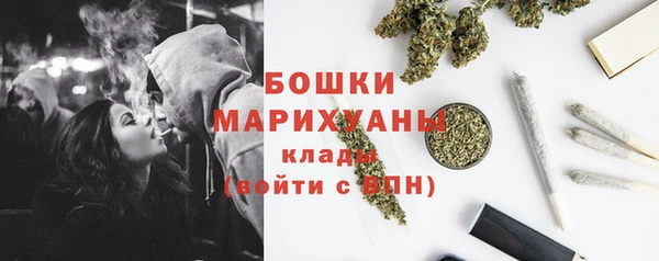 гидра Вязники