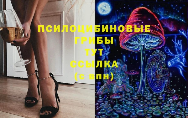 стаф Вяземский