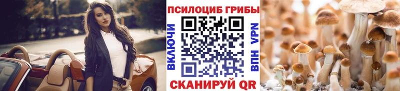 Купить  Бузулук  Псилоцибиновые грибы ЛСД 